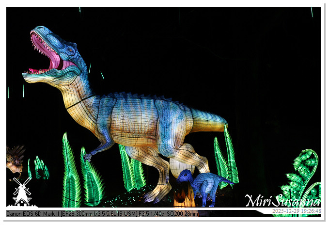 Beekse Bergen Light Safari 2025 IMG_4655@MiriSusanna CC-BY-NC-ND Beekse Bergen Light Safari 2025 IMG_4655