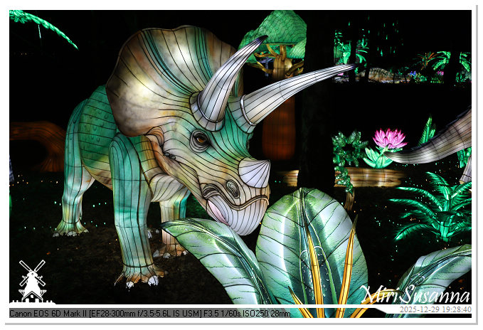 Beekse Bergen Light Safari 2025 IMG_4661@MiriSusanna CC-BY-NC-ND Beekse Bergen Light Safari 2025 IMG_4661