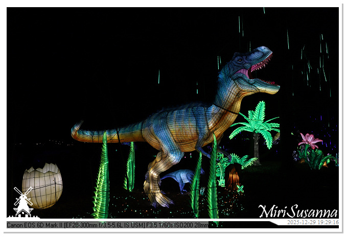 Beekse Bergen Light Safari 2025 IMG_4662@MiriSusanna CC-BY-NC-ND Beekse Bergen Light Safari 2025 IMG_4662