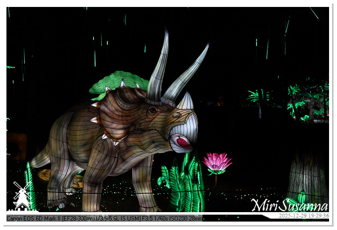 Beekse Bergen Light Safari 2025 IMG_4663@MiriSusanna CC-BY-NC-ND Beekse Bergen Light Safari 2025 IMG_4663