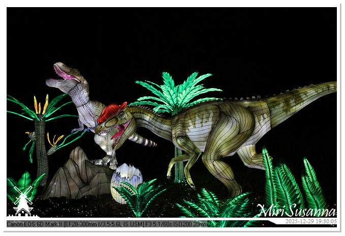 Beekse Bergen Light Safari 2025 IMG_4664@MiriSusanna CC-BY-NC-ND Beekse Bergen Light Safari 2025 IMG_4664