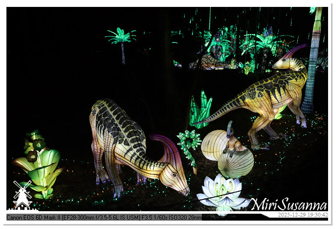 Beekse Bergen Light Safari 2025 IMG_4666@MiriSusanna CC-BY-NC-ND Beekse Bergen Light Safari 2025 IMG_4666