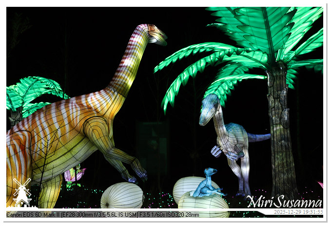 Beekse Bergen Light Safari 2025 IMG_4669@MiriSusanna CC-BY-NC-ND Beekse Bergen Light Safari 2025 IMG_4669