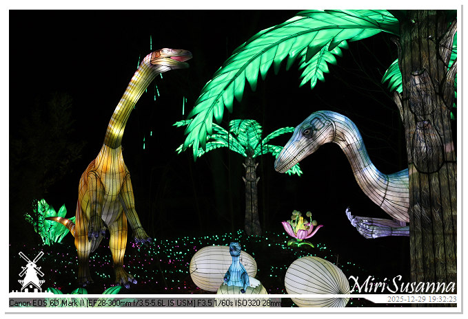 Beekse Bergen Light Safari 2025 IMG_4670@MiriSusanna CC-BY-NC-ND Beekse Bergen Light Safari 2025 IMG_4670