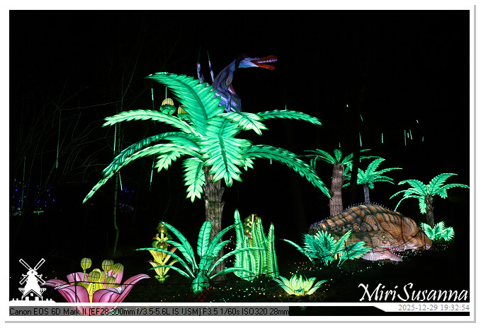 Beekse Bergen Light Safari 2025 IMG_4671@MiriSusanna CC-BY-NC-ND Beekse Bergen Light Safari 2025 IMG_4671