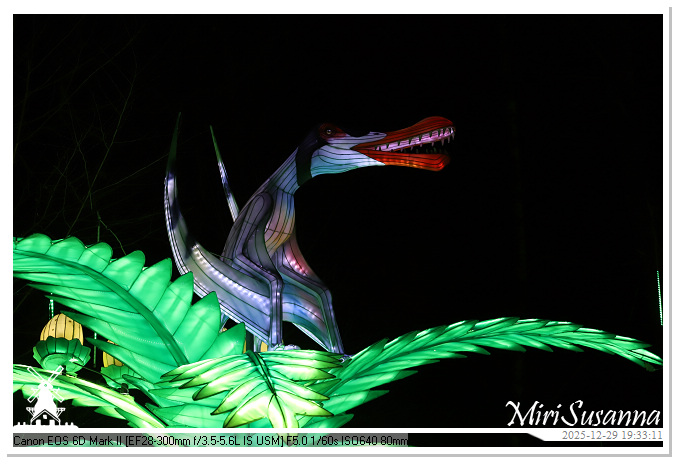 Beekse Bergen Light Safari 2025 IMG_4673@MiriSusanna CC-BY-NC-ND Beekse Bergen Light Safari 2025 IMG_4673