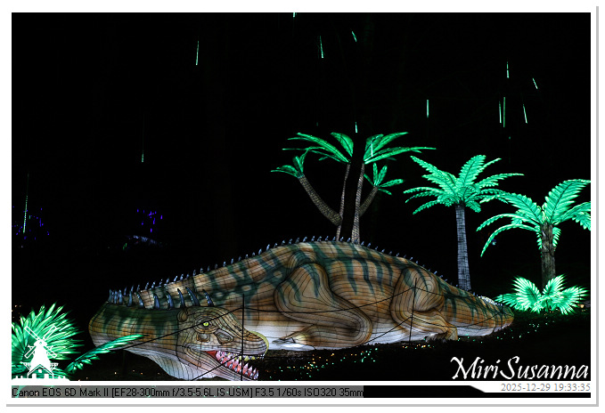 Beekse Bergen Light Safari 2025 IMG_4674@MiriSusanna CC-BY-NC-ND Beekse Bergen Light Safari 2025 IMG_4674