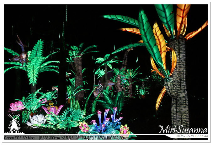 Beekse Bergen Light Safari 2025 IMG_4675@MiriSusanna CC-BY-NC-ND Beekse Bergen Light Safari 2025 IMG_4675