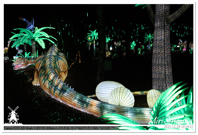 Beekse Bergen Light Safari 2025 IMG_4677@MiriSusanna CC-BY-NC-ND Beekse Bergen Light Safari 2025 IMG_4677