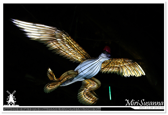 Beekse Bergen Light Safari 2025 IMG_4681@MiriSusanna CC-BY-NC-ND Beekse Bergen Light Safari 2025 IMG_4681