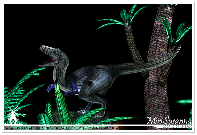 Beekse Bergen Light Safari 2025 IMG_4682@MiriSusanna CC-BY-NC-ND Beekse Bergen Light Safari 2025 IMG_4682