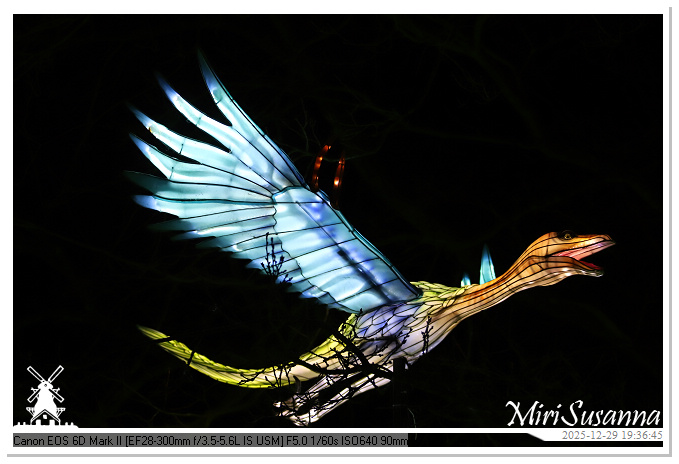 Beekse Bergen Light Safari 2025 IMG_4685@MiriSusanna CC-BY-NC-ND Beekse Bergen Light Safari 2025 IMG_4685