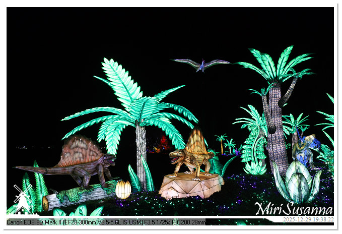 Beekse Bergen Light Safari 2025 IMG_4689@MiriSusanna CC-BY-NC-ND Beekse Bergen Light Safari 2025 IMG_4689