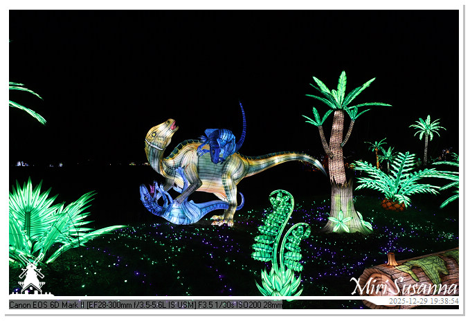 Beekse Bergen Light Safari 2025 IMG_4690@MiriSusanna CC-BY-NC-ND Beekse Bergen Light Safari 2025 IMG_4690