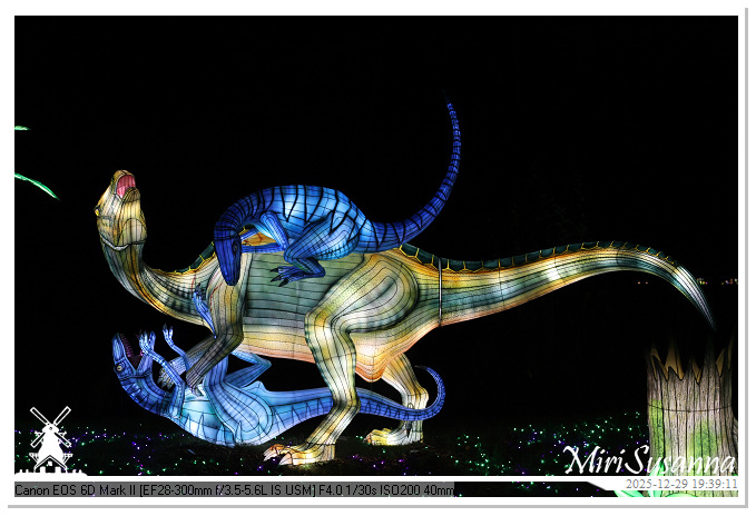 Beekse Bergen Light Safari 2025 IMG_4691@MiriSusanna CC-BY-NC-ND Beekse Bergen Light Safari 2025 IMG_4691