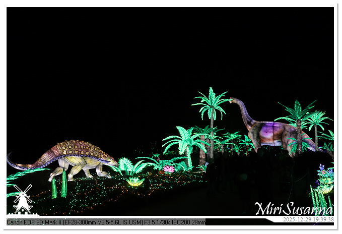 Beekse Bergen Light Safari 2025 IMG_4692@MiriSusanna CC-BY-NC-ND Beekse Bergen Light Safari 2025 IMG_4692