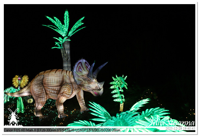 Beekse Bergen Light Safari 2025 IMG_4694@MiriSusanna CC-BY-NC-ND Beekse Bergen Light Safari 2025 IMG_4694