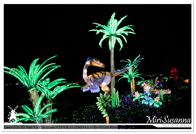 Beekse Bergen Light Safari 2025 IMG_4697@MiriSusanna CC-BY-NC-ND Beekse Bergen Light Safari 2025 IMG_4697