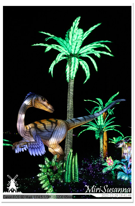 Beekse Bergen Light Safari 2025 IMG_4698@MiriSusanna CC-BY-NC-ND Beekse Bergen Light Safari 2025 IMG_4698