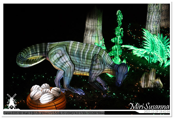 Beekse Bergen Light Safari 2025 IMG_4699@MiriSusanna CC-BY-NC-ND Beekse Bergen Light Safari 2025 IMG_4699