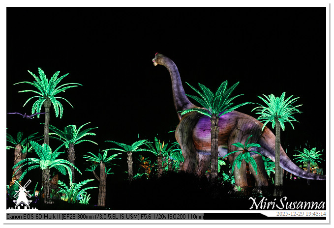 Beekse Bergen Light Safari 2025 IMG_4702@MiriSusanna CC-BY-NC-ND Beekse Bergen Light Safari 2025 IMG_4702