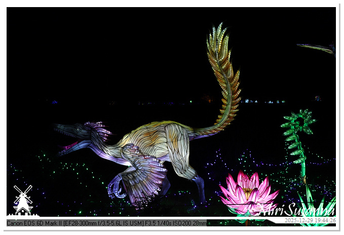 Beekse Bergen Light Safari 2025 IMG_4705@MiriSusanna CC-BY-NC-ND Beekse Bergen Light Safari 2025 IMG_4705