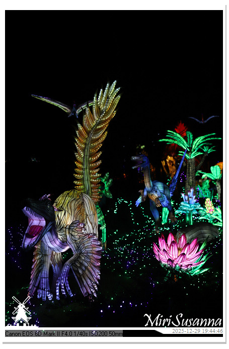 Beekse Bergen Light Safari 2025 IMG_4707@MiriSusanna CC-BY-NC-ND Beekse Bergen Light Safari 2025 IMG_4707