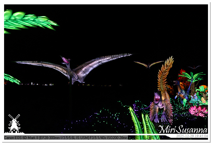 Beekse Bergen Light Safari 2025 IMG_4708@MiriSusanna CC-BY-NC-ND Beekse Bergen Light Safari 2025 IMG_4708