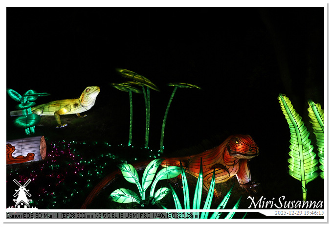 Beekse Bergen Light Safari 2025 IMG_4711@MiriSusanna CC-BY-NC-ND Beekse Bergen Light Safari 2025 IMG_4711