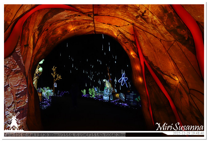 Beekse Bergen Light Safari 2025 IMG_4720