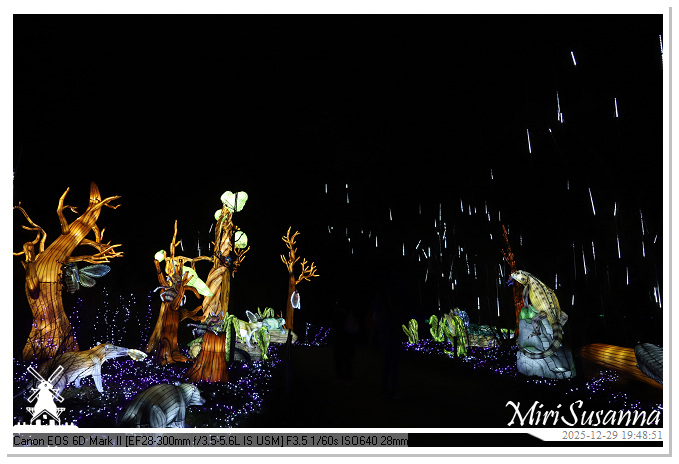 Beekse Bergen Light Safari 2025 IMG_4721