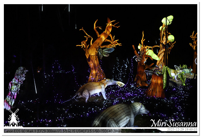 Beekse Bergen Light Safari 2025 IMG_4722