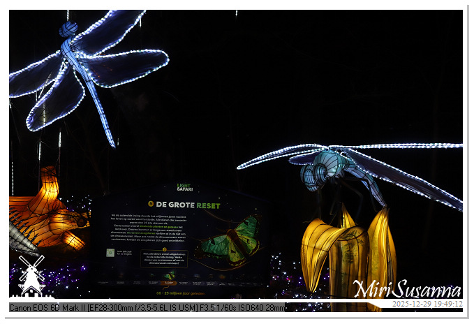 Beekse Bergen Light Safari 2025 IMG_4723