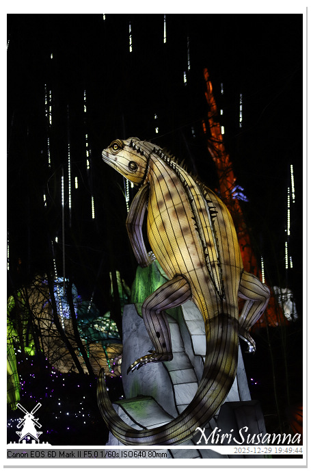 Beekse Bergen Light Safari 2025 IMG_4725