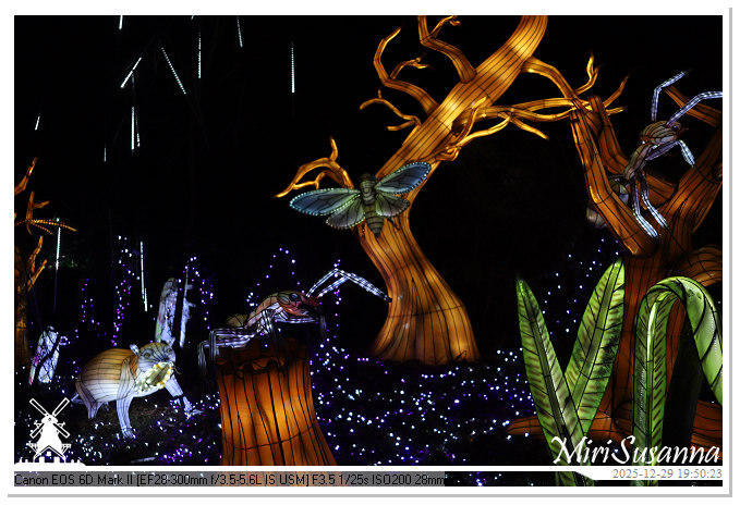 Beekse Bergen Light Safari 2025 IMG_4727