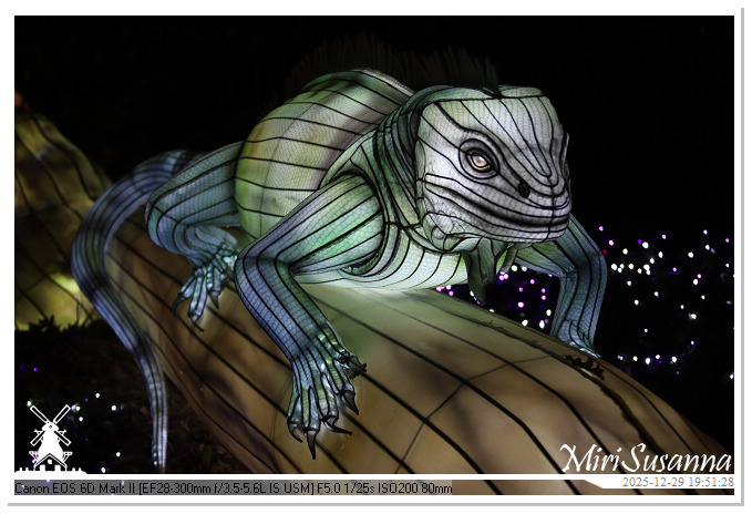 Beekse Bergen Light Safari 2025 IMG_4731