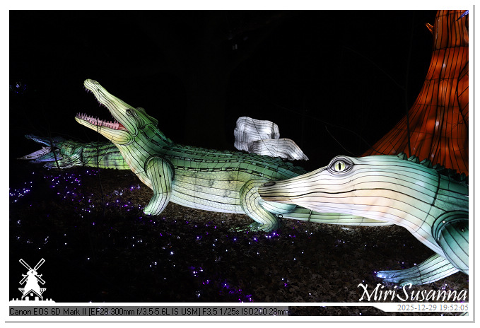 Beekse Bergen Light Safari 2025 IMG_4733