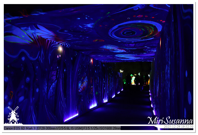 Beekse Bergen Light Safari 2025 IMG_4736