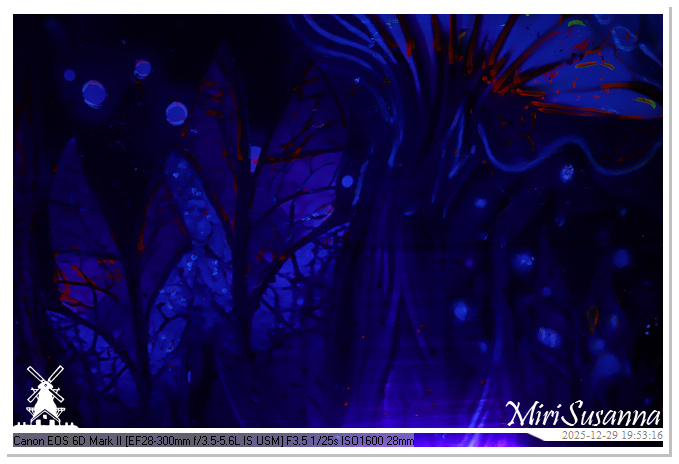 Beekse Bergen Light Safari 2025 IMG_4738