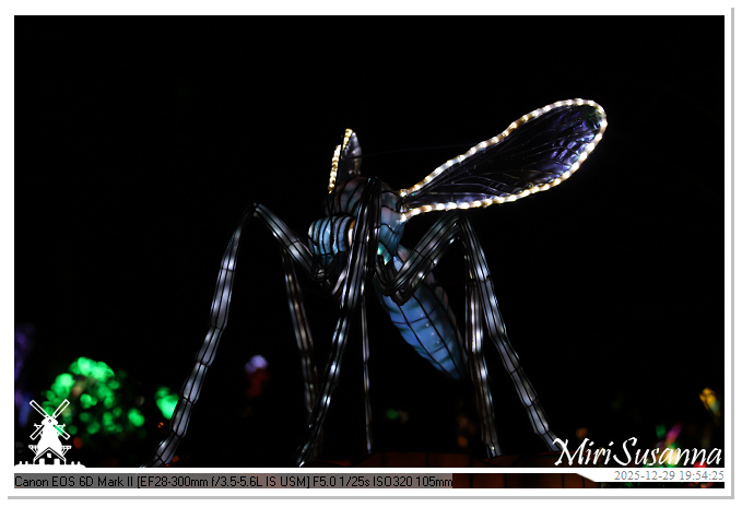 Beekse Bergen Light Safari 2025 IMG_4741