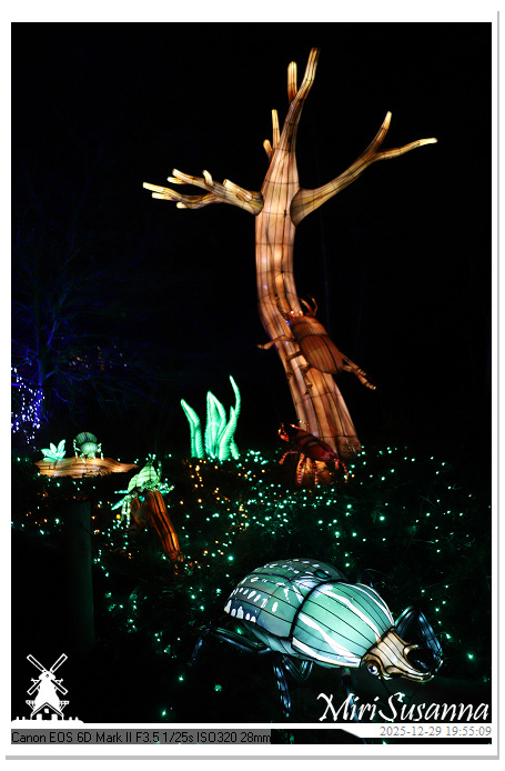 Beekse Bergen Light Safari 2025 IMG_4742