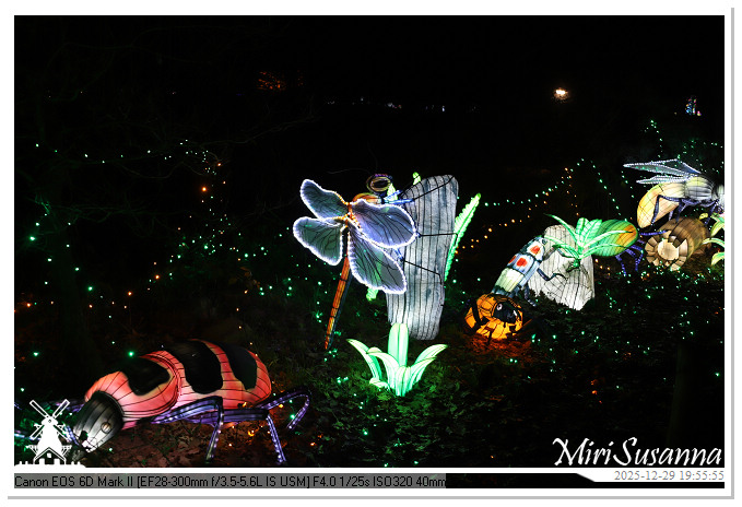 Beekse Bergen Light Safari 2025 IMG_4745