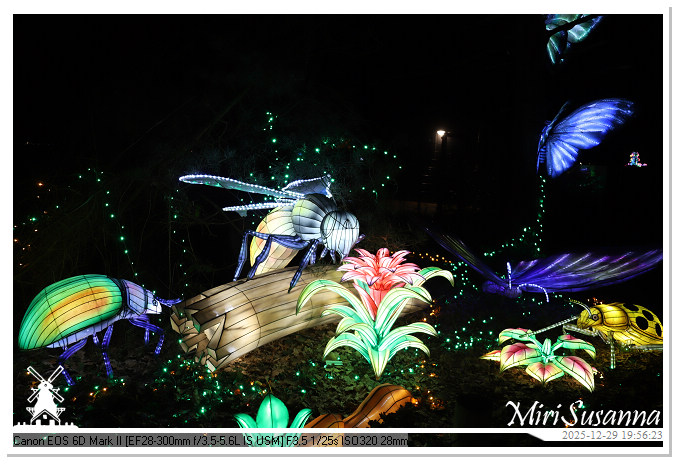 Beekse Bergen Light Safari 2025 IMG_4746