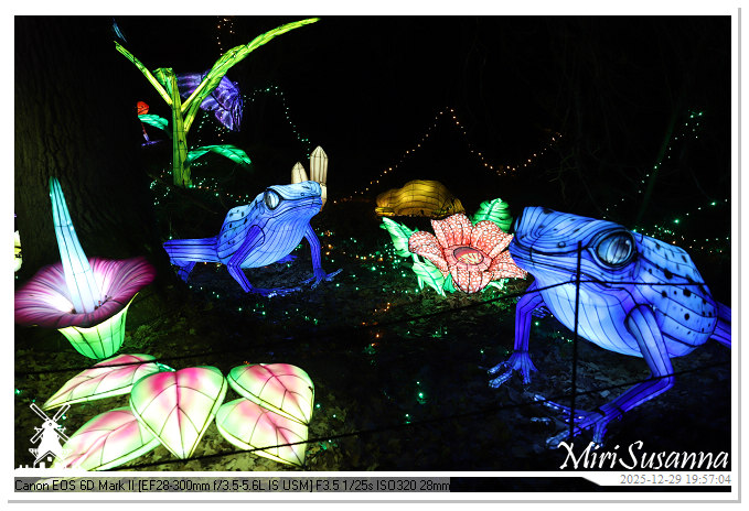 Beekse Bergen Light Safari 2025 IMG_4748