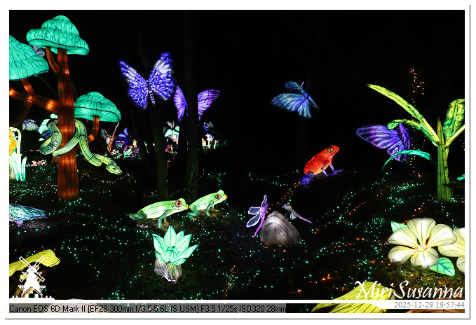 Beekse Bergen Light Safari 2025 IMG_4750