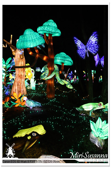 Beekse Bergen Light Safari 2025 IMG_4751