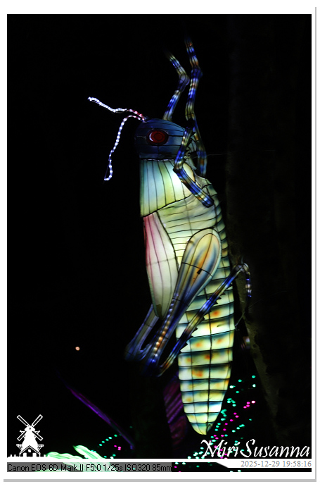 Beekse Bergen Light Safari 2025 IMG_4752