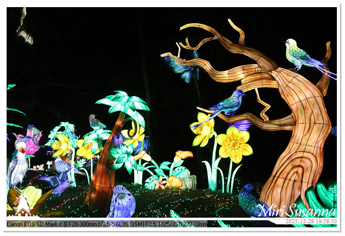 Beekse Bergen Light Safari 2025 IMG_4754