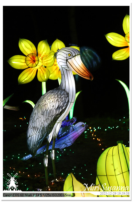 Beekse Bergen Light Safari 2025 IMG_4756