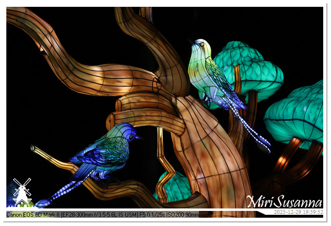 Beekse Bergen Light Safari 2025 IMG_4757